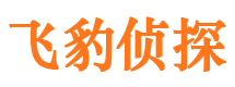 云岩侦探公司